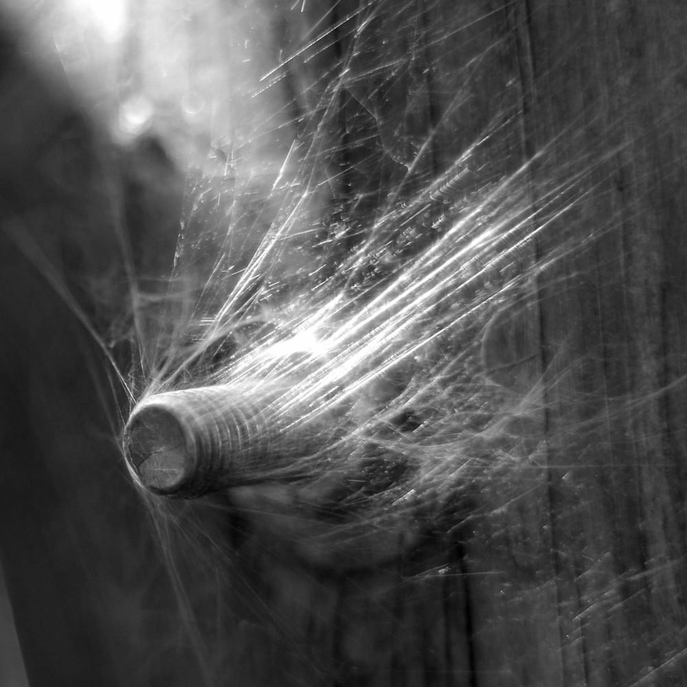 Photograph by Damir Gržin