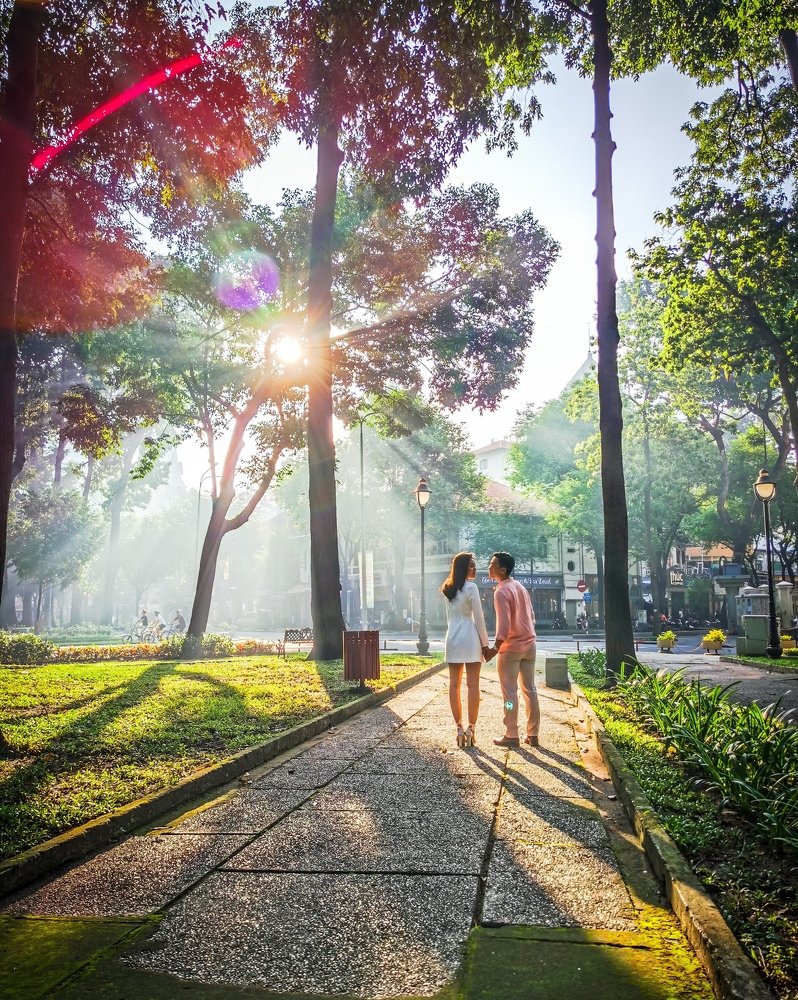 The Love in the Light