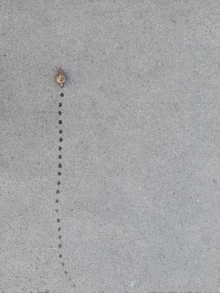 Действие оставляет след