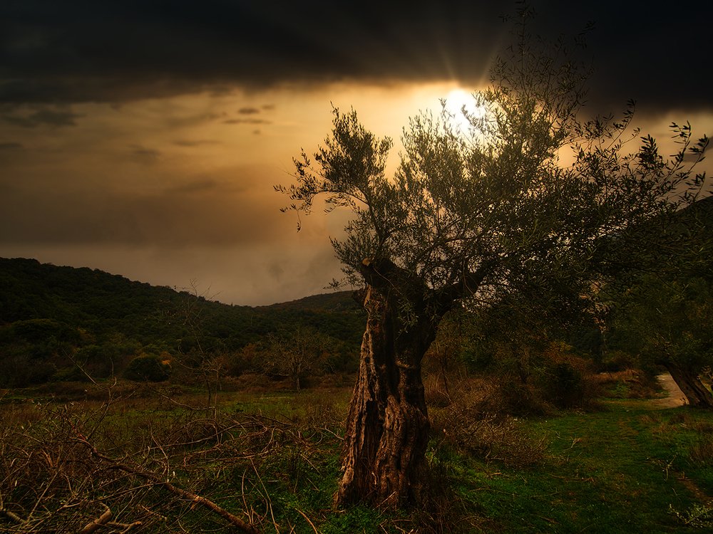 Photograph by Georgios Pallas