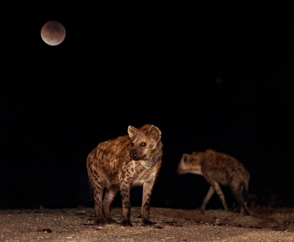 Photograph by Кирина Елизавета