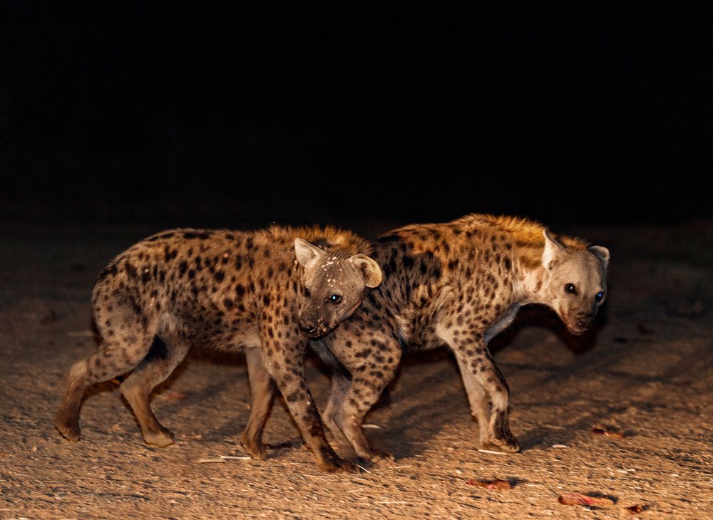 Photograph by Кирина Елизавета