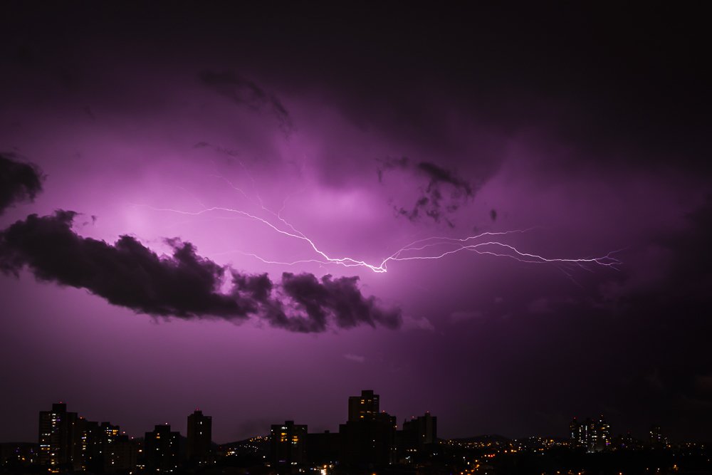 Photograph by Laura Lucio