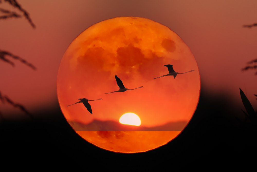 Photograph by Georgiades Socratis