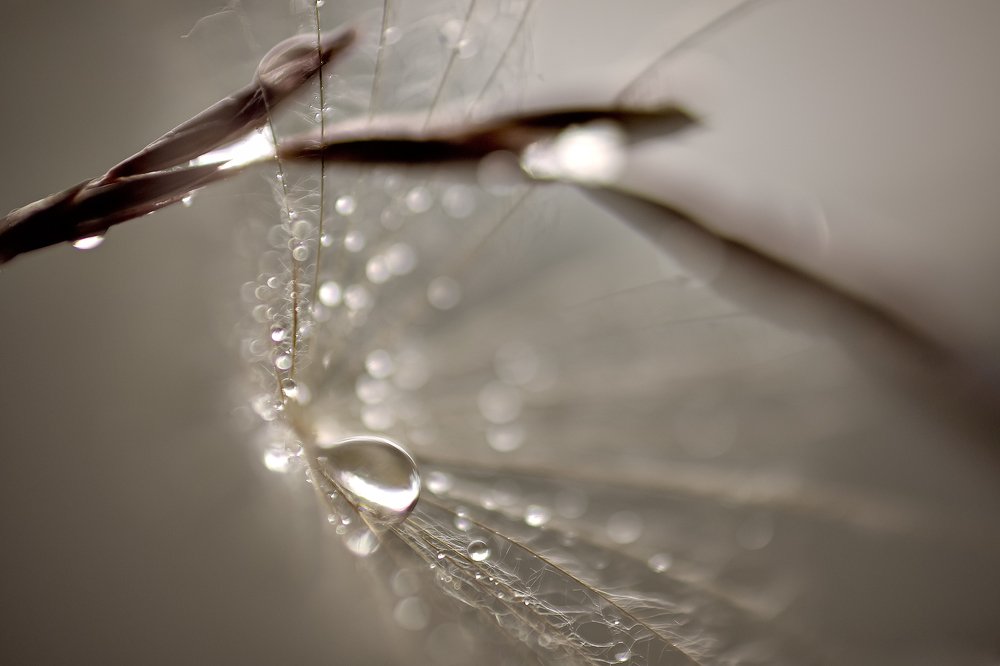 Photograph by Нурият Аллаярова