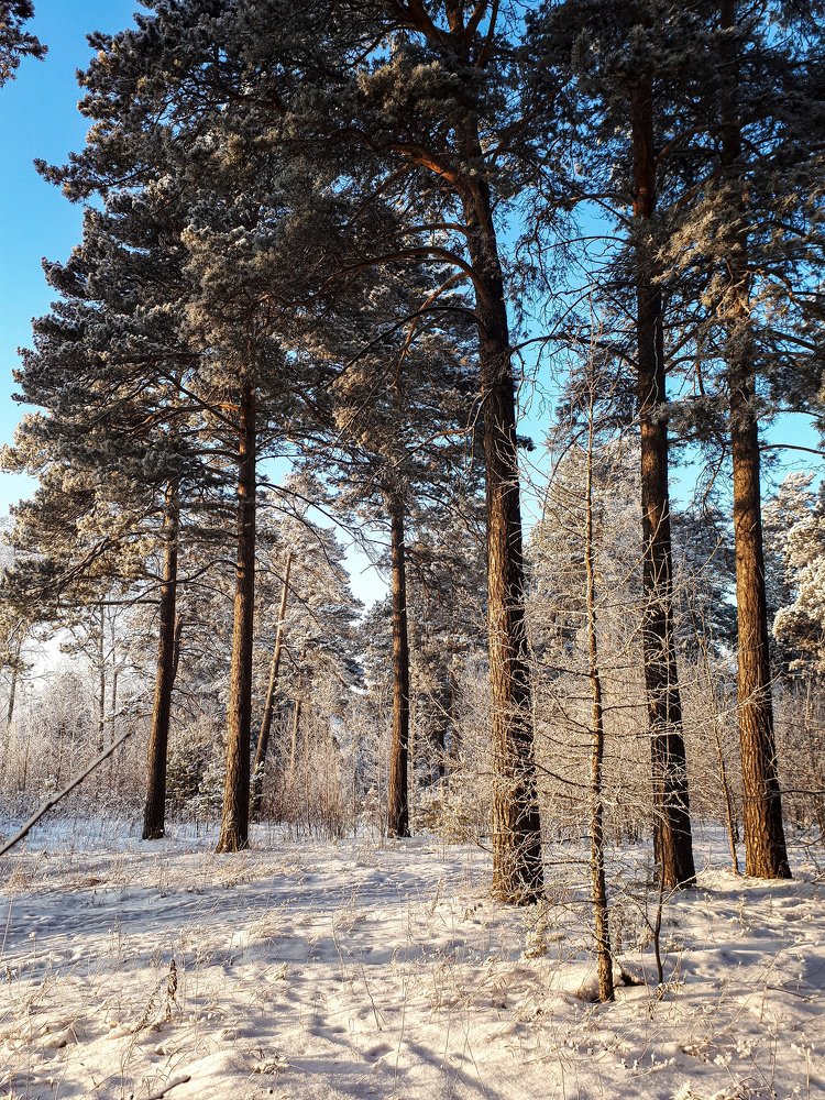 Photograph by Анна Кабиева