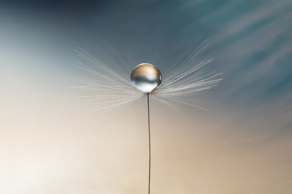 Photograph by Нурият Аллаярова