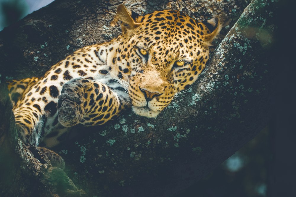 Photograph by Furqan Ali