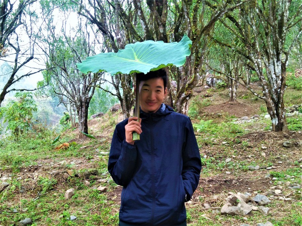 Nature with human