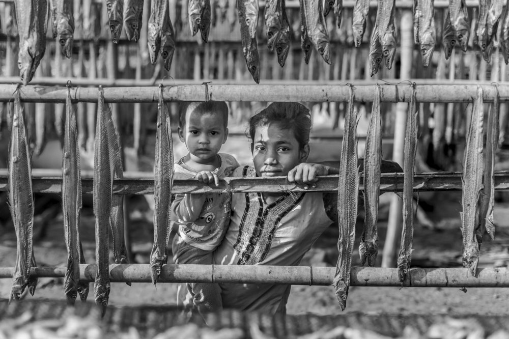 Photograph by sanchayan chowdhury