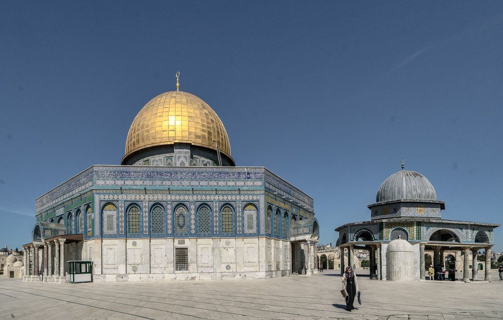 Фотография автора andrey gagarin