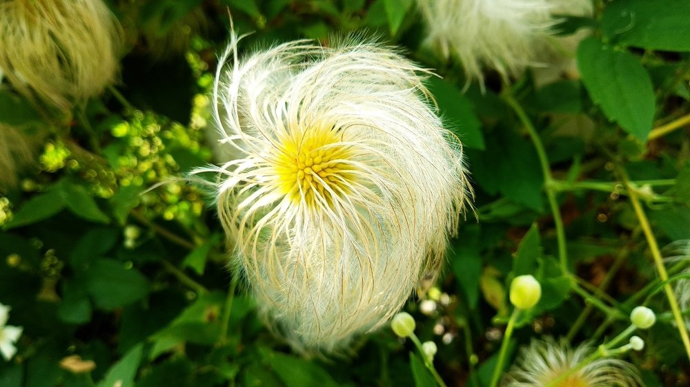 Photograph by Виталий Фролов