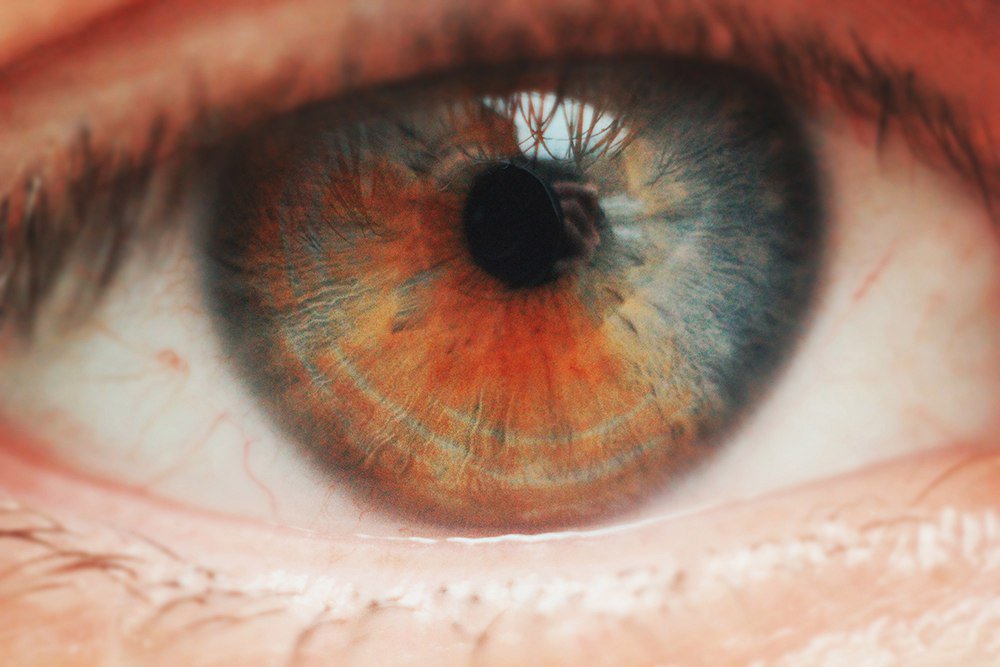 Photograph by Фролова Евгения