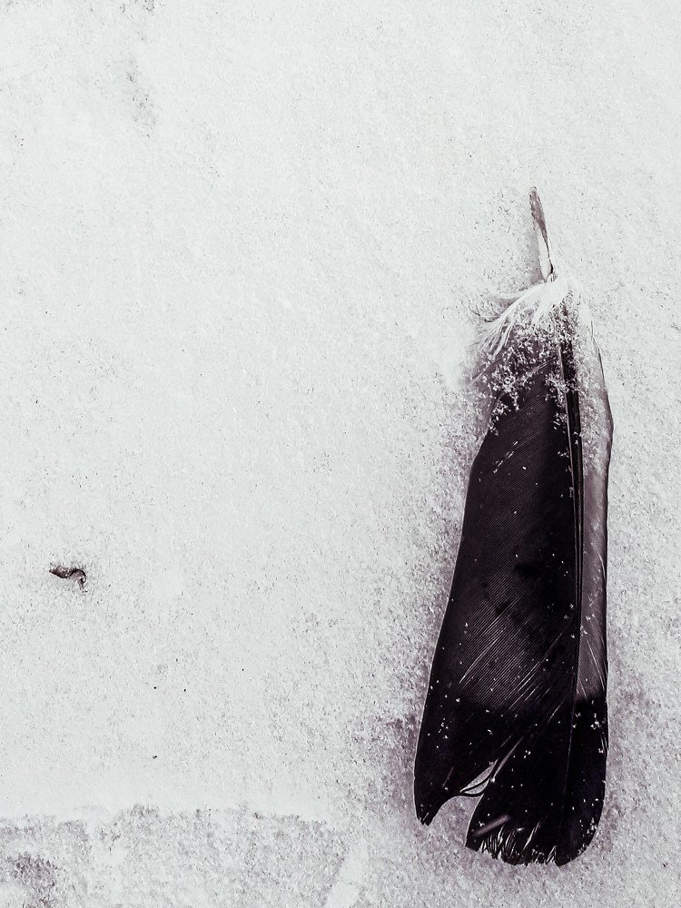 Photograph by Анна Кабиева