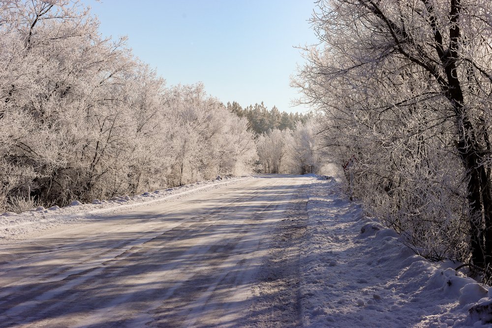 Зимняя дорога
