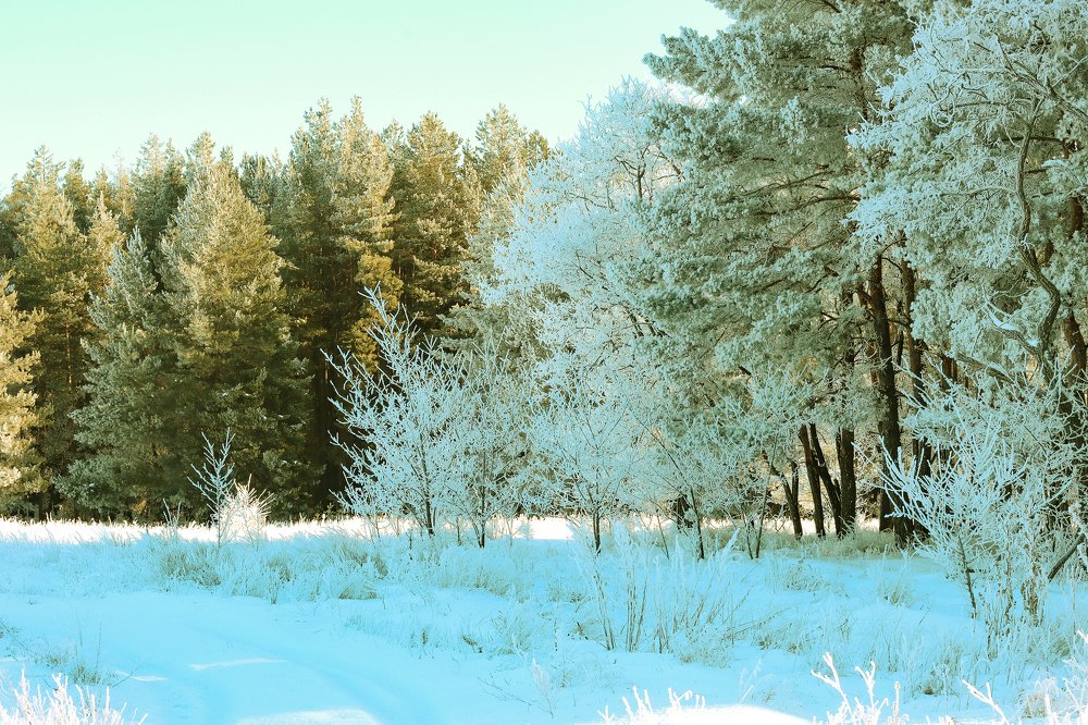 Зима наступает