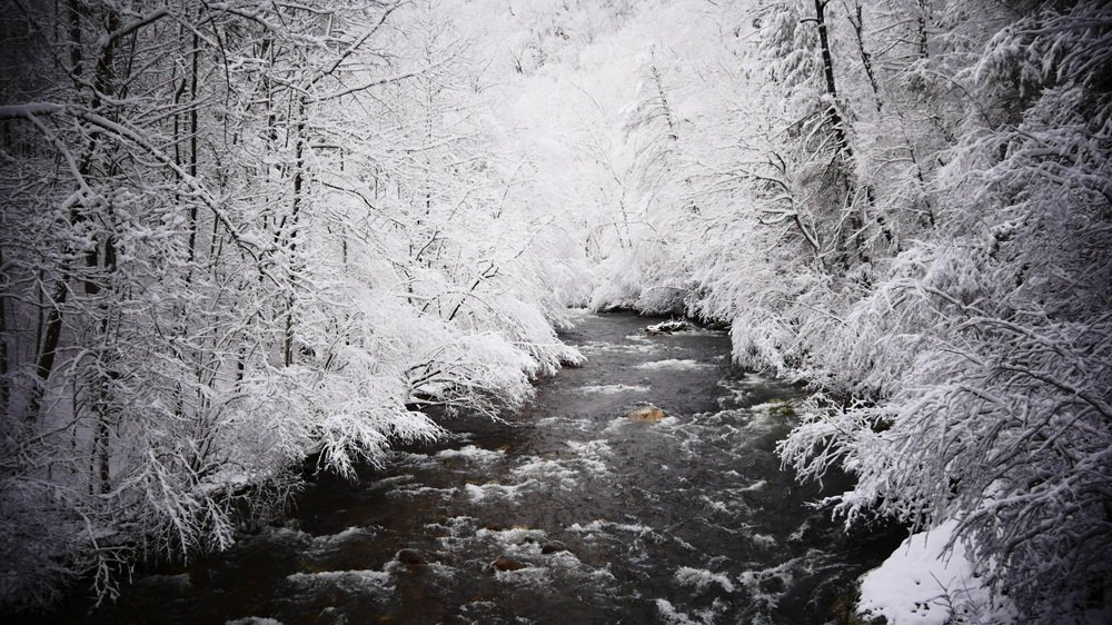 Горная река.