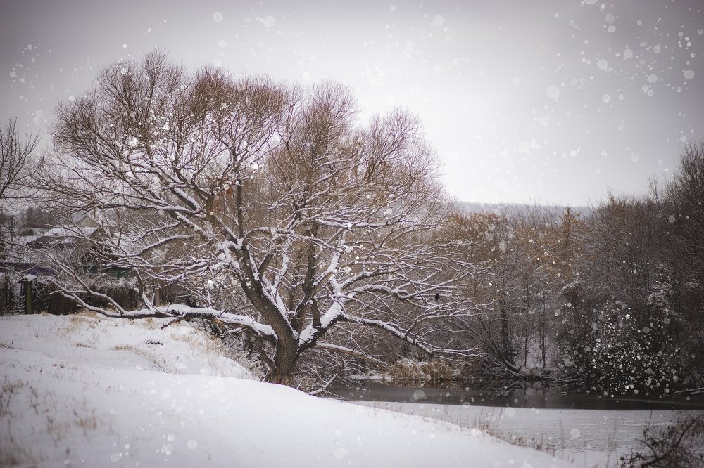 Зимний пруд