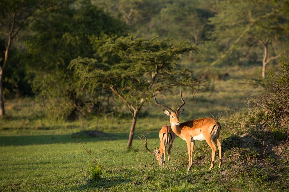 Photograph by Somdev Sen