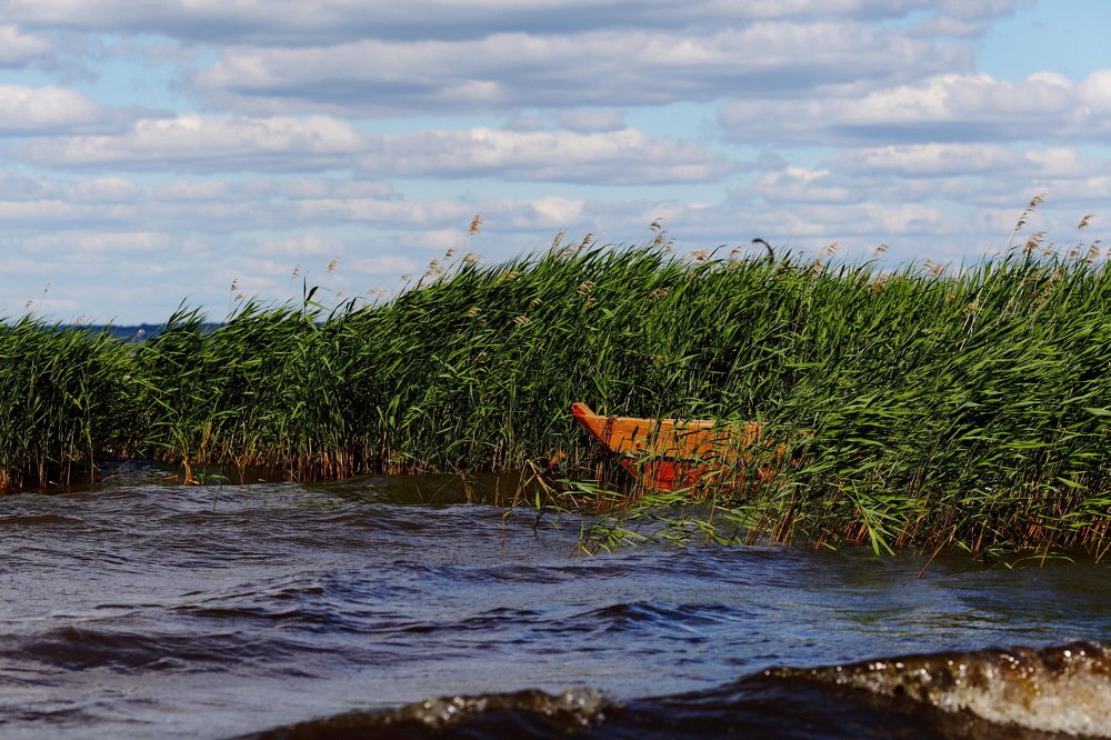 Photograph by Константин Лагоденко