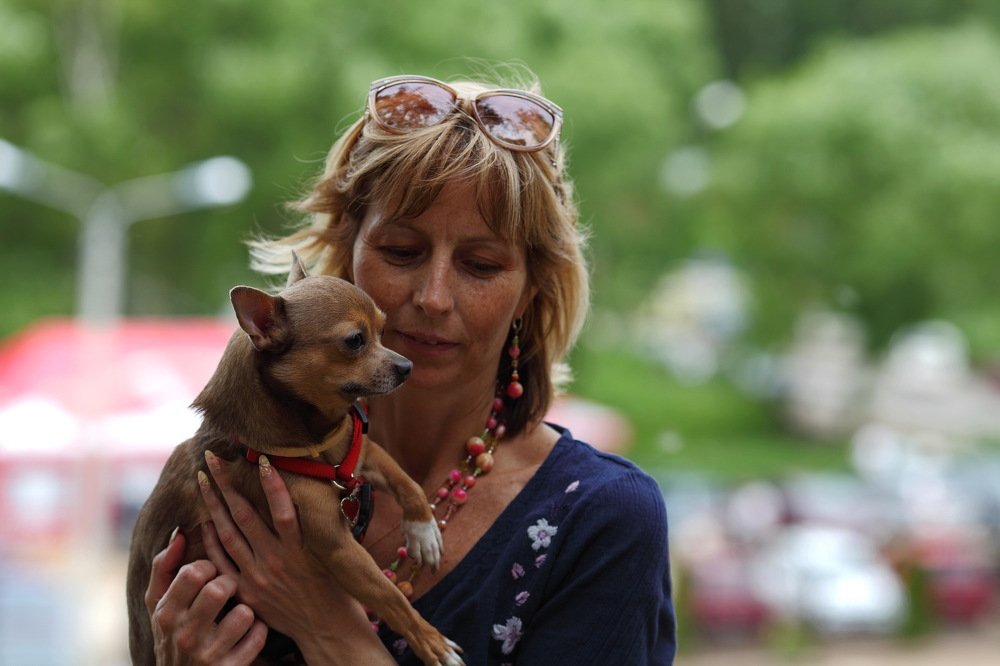 Photograph by Константин Лагоденко