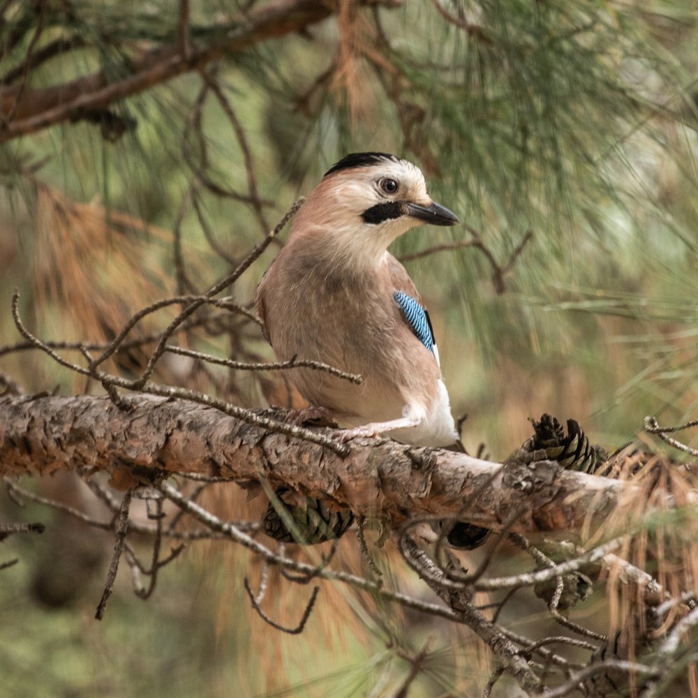 Photograph by Олег Башкуров