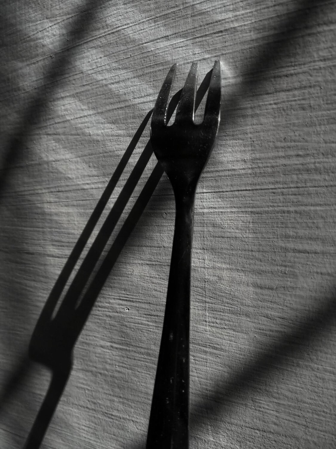Photo #5453344