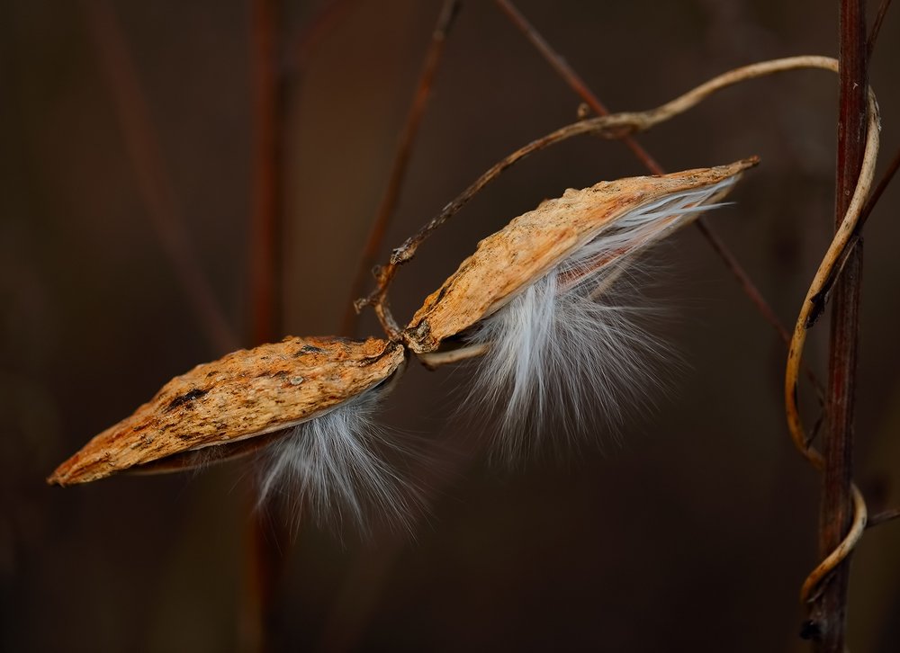 Photograph by Евгений Паршуков