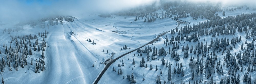 Photograph by neil maccormack