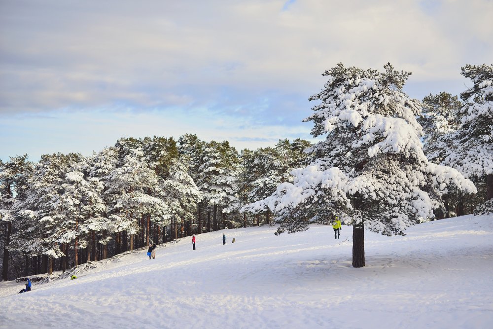 Зима в Таллинне