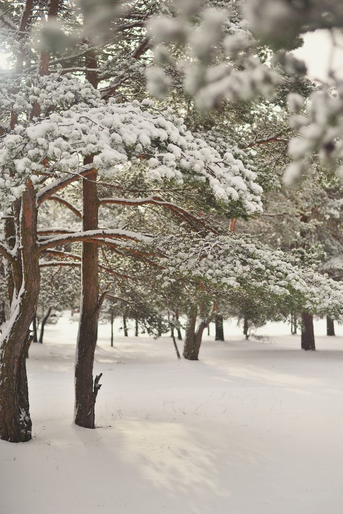 Photograph by Liana Lauta