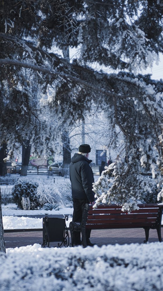 Photograph by Василий Николаев