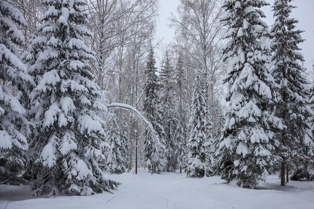 Гора Крестовая