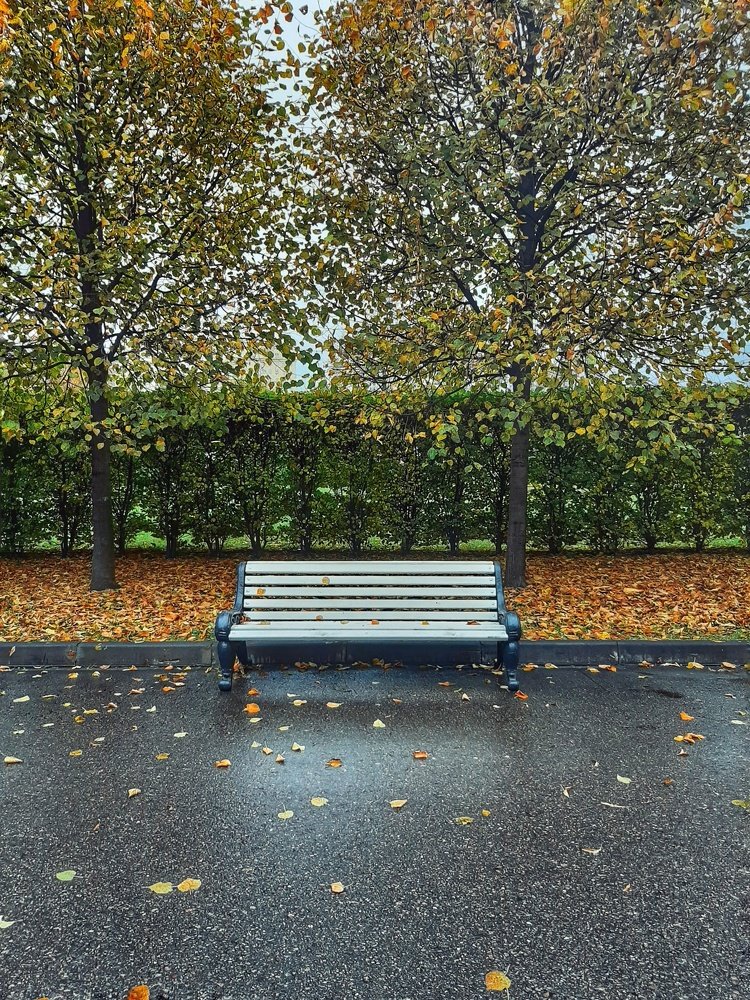 Photograph by Денис Козьяков