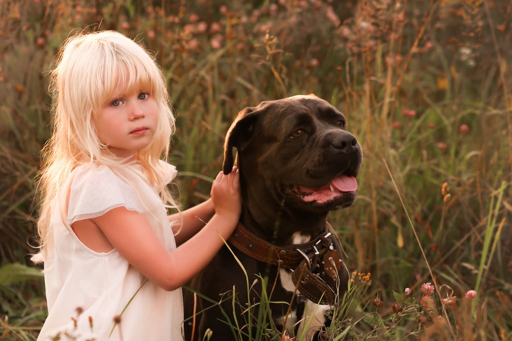 Photograph by Лариса Голованова