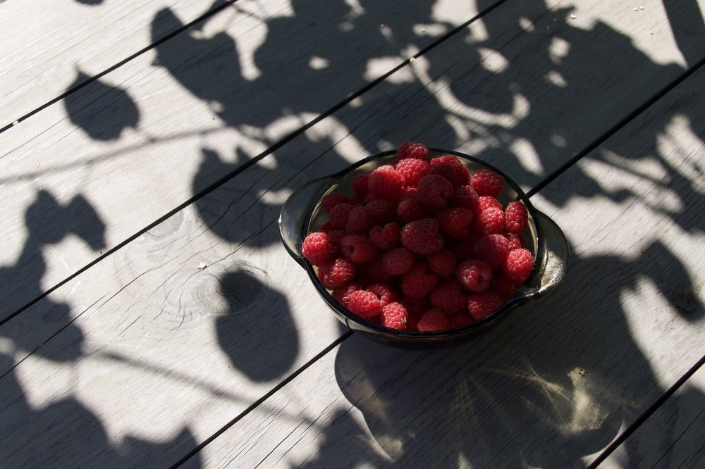 Photograph by Anastasia Perez