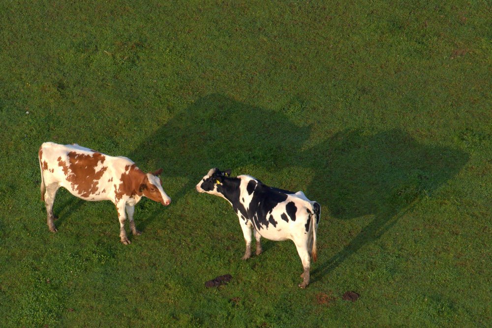 Photograph by Ирина Волкова