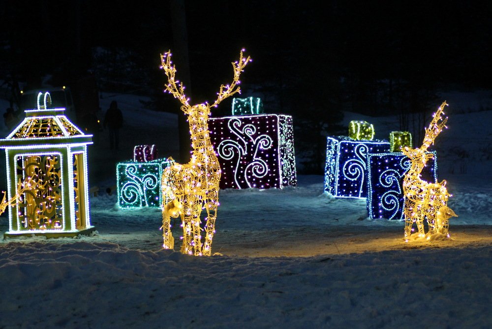 Photograph by Николай Николаевич Леухин