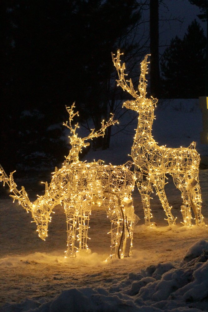 Photograph by Николай Николаевич Леухин