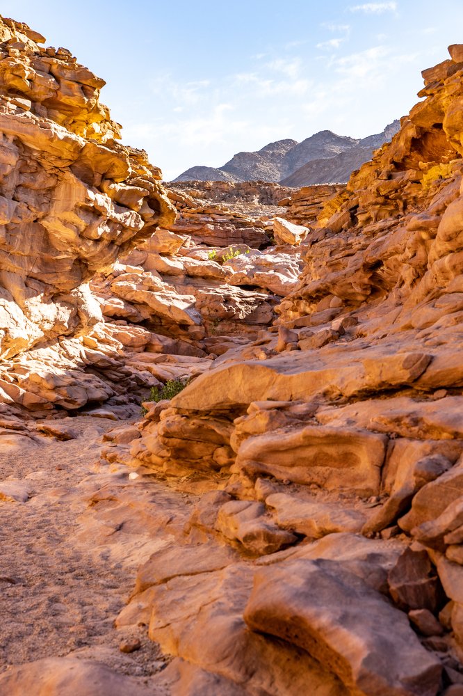 Photograph by Володимир Сорін