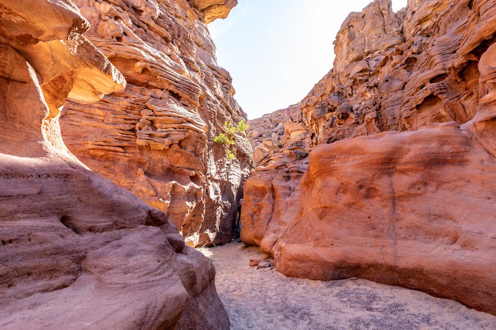 Photograph by Володимир Сорін