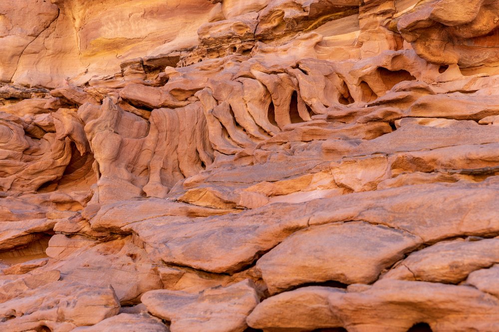 Photograph by Володимир Сорін