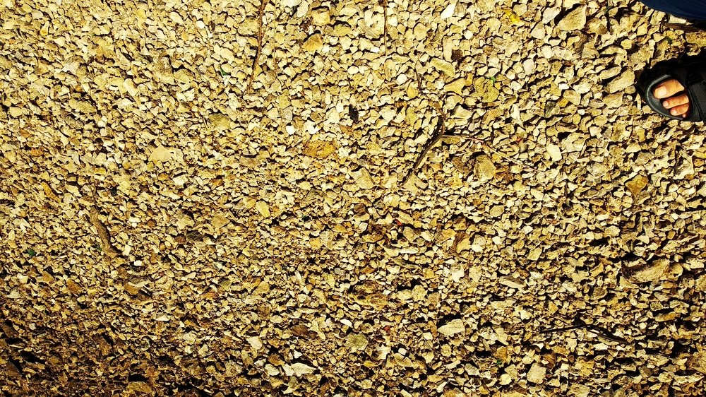 Photograph by Виталий Фролов