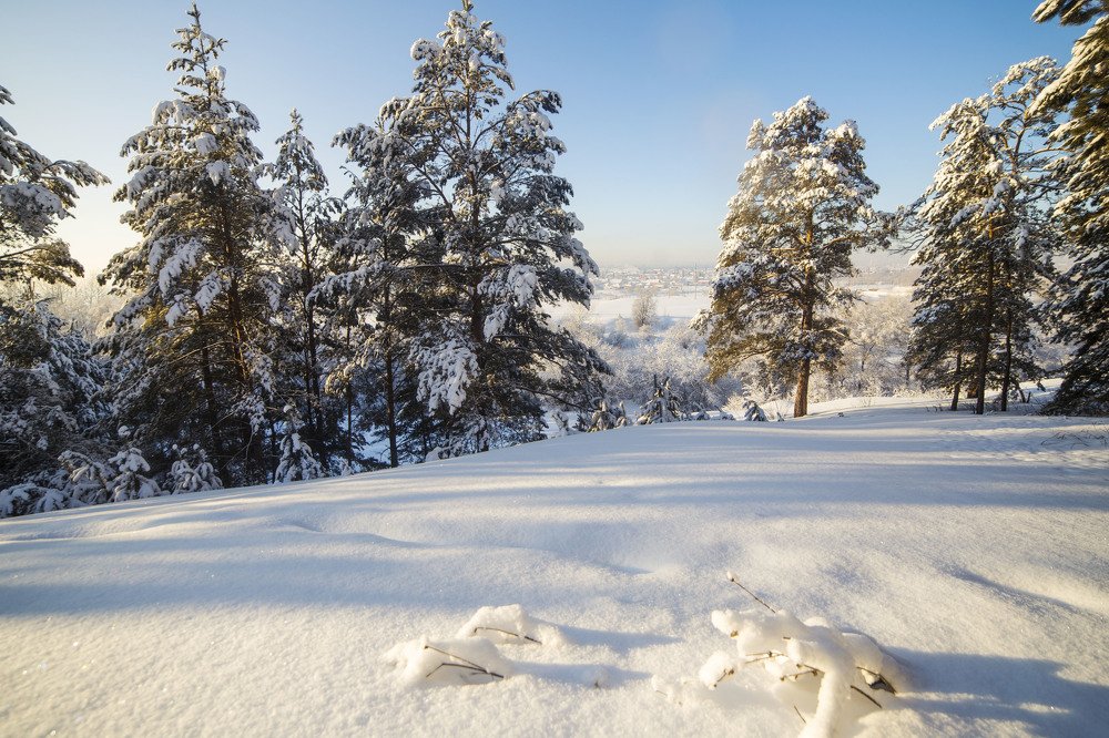 на рассвете