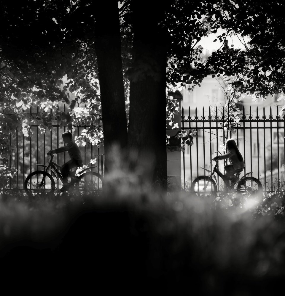 Случайный кадр.