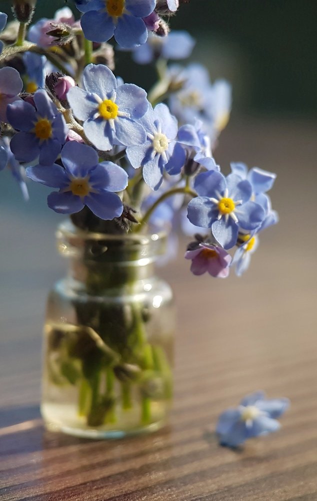 Photograph by Татьяна Пименкова