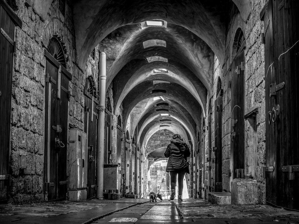 Photograph by Semion Ribinik