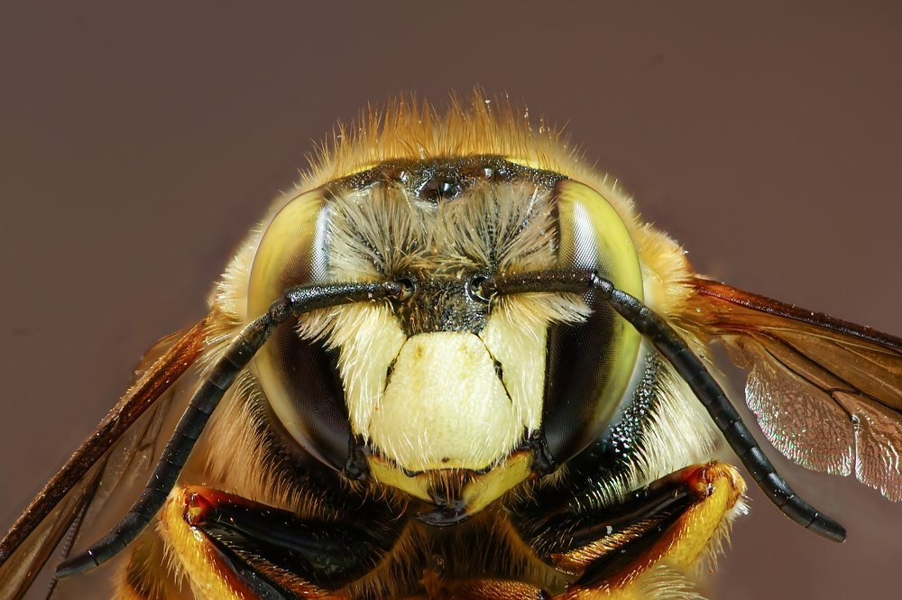 Photograph by Сергей Прокофьев