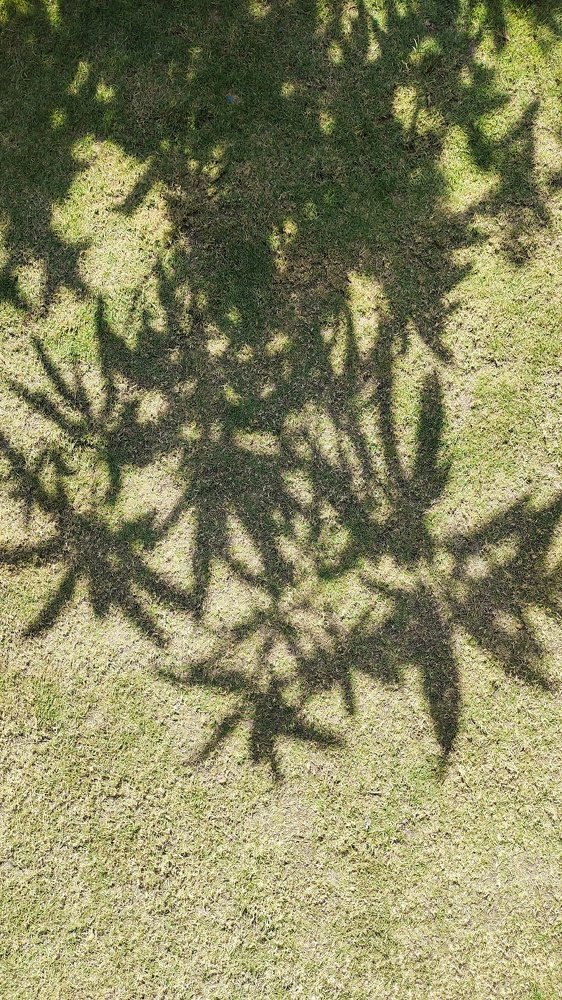 Фотография автора ASHISH BHAGAT