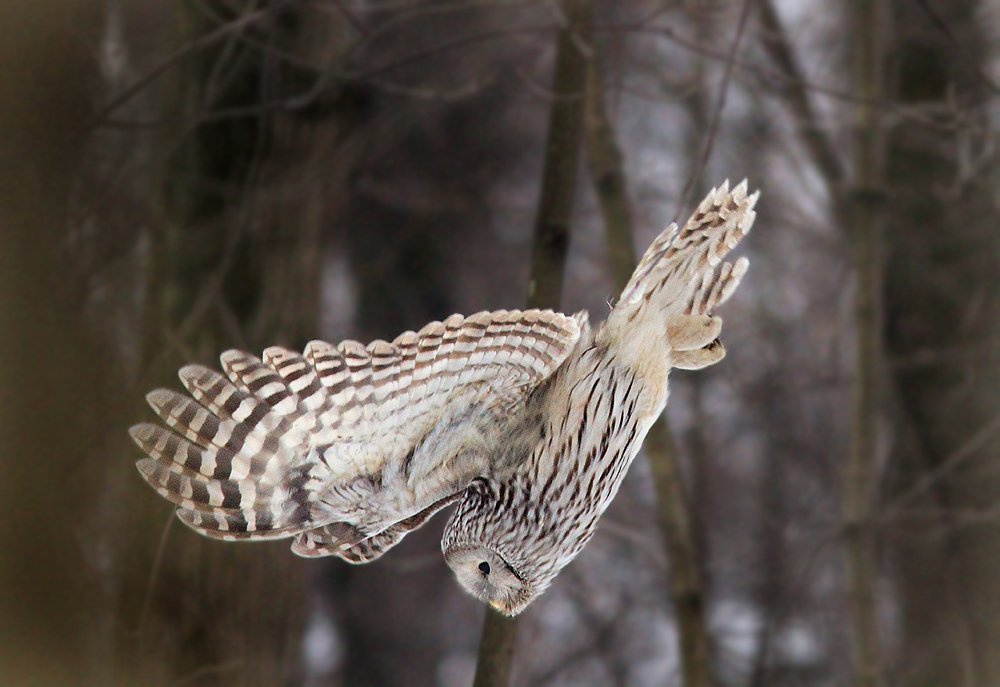 Фотография автора Михаил Крюков